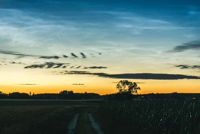 Scenic view of silhouette field against sky during sunset