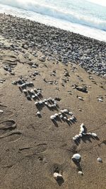 High angle view of footprints on sand at beach