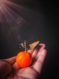 Close-up of hand holding orange