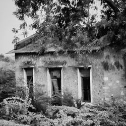 Abandoned house