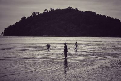 Silhouette people on beach against sky