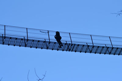 Low angle view of bird perching against clear sky