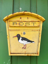 Close-up of a bird against wall