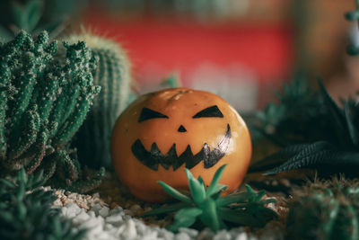 Close-up of christmas ornaments on plant