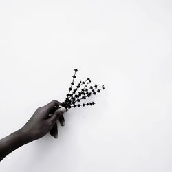 Directly above shot of hand holding bread against white background