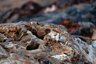 Close-up of rocks on beach