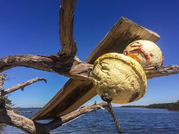 Low angle view of buoy on bare tree by sea against blue sky