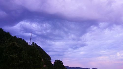 High section of trees against cloudy sky