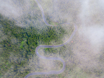 Aerial view of a road in the middle of the forest