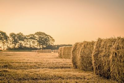 Hay bales on field against clear sky