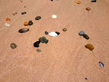 Pebbles on beach