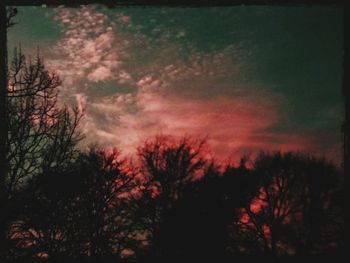 Low angle view of trees against sky