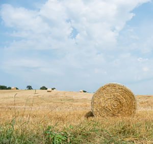 Bales of hay in field against cloudy sky