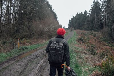 Rear view of man walking on snow covered tree
