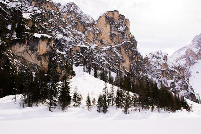 Trees on snow covered mountain against sky