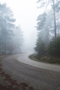 Empty road amidst trees against sky