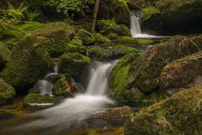 Scenic view of waterfall in forest