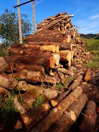 Stack of logs on landscape