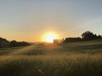 Scenic view of field against sky during sunset