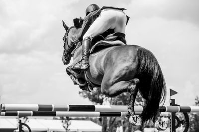 Man riding horse