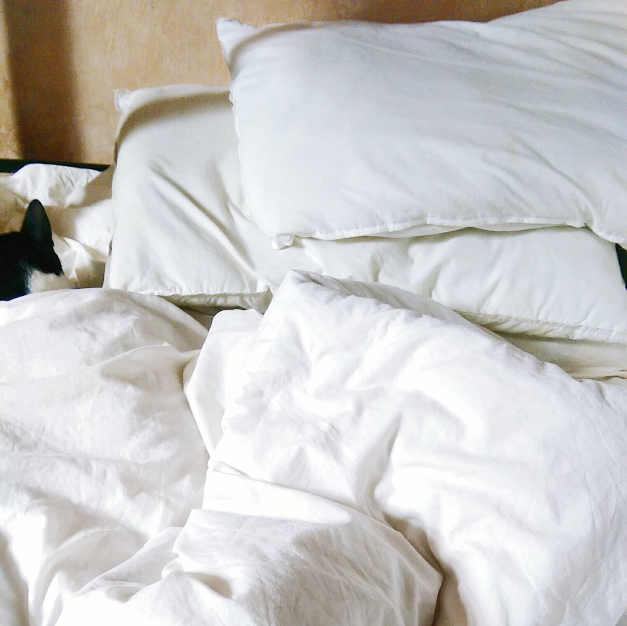 indoors, bed, bedroom, sheet, relaxation, pillow, white color, fabric, blanket, textile, book, chair, home interior, comfortable, paper, white, absence, sofa, cushion, high angle view