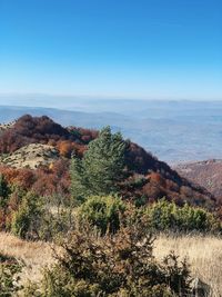 Scenic view of landscape against clear blue sky