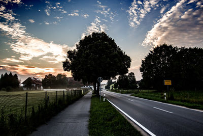 Empty road along trees