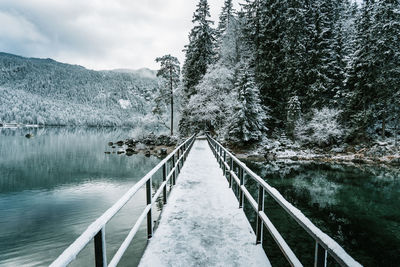 Footbridge over lake by trees against sky during winter