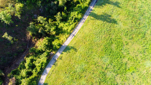 High angle view of road amidst trees