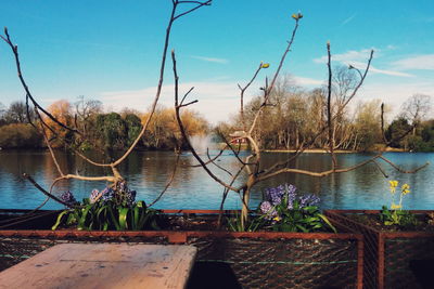 View of calm lake against sky