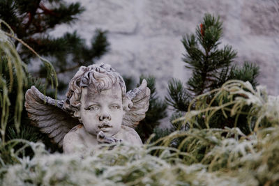 Close-up of angel statue against trees