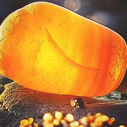 Close-up of pumpkins in bowl