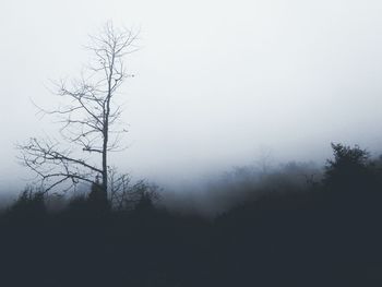 Bare trees on landscape against sky