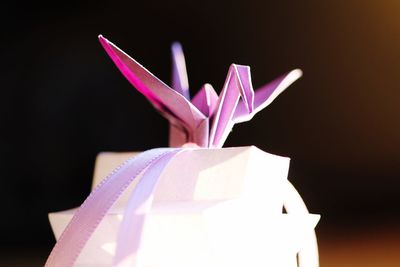 Close-up of flower over black background