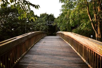 Footbridge amidst trees against sky
