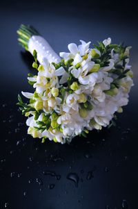 Close-up of white flowers