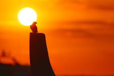 Silhouette man standing against orange sky