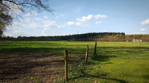 Scenic view of grassy field against sky