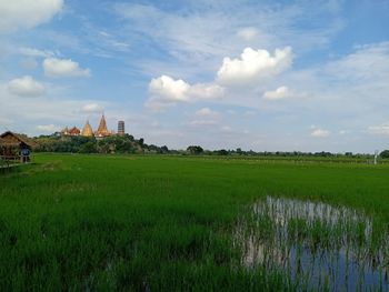 Scenic view of field against sky