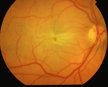 Macro shot of flower