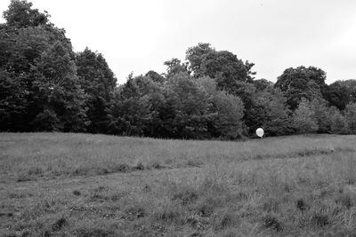 Trees on field against sky