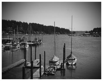 Boats moored at harbor