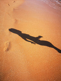 High angle view of shadow on sand