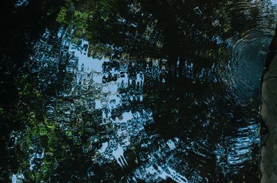 Reflection of trees in lake