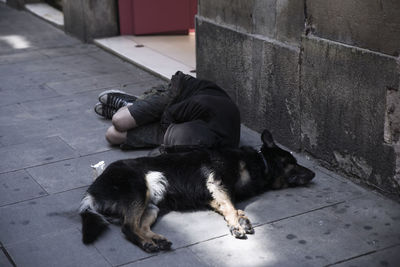 High angle view of male beggar lying with dog on footpath