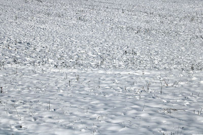 Full frame shot of frozen lake