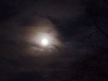 Low angle view of moon in sky at night