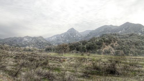 Scenic view of landscape against cloudy sky