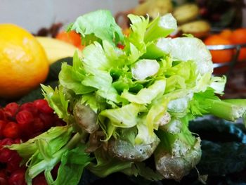 Close-up of vegetables