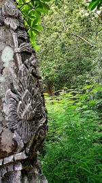 Close-up of statue in garden